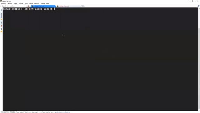 Understanding Oracle Label Security смотреть онлайн