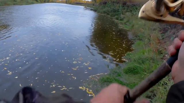 Relax 8, Исеть - первые пески, другой берег. Далматово. Alt&Bell - Little Angel смотреть онлайн