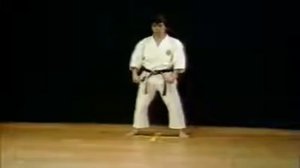 24 Kata Gojushiho Dai Shotokan Karate Hirokazu Kanazawa