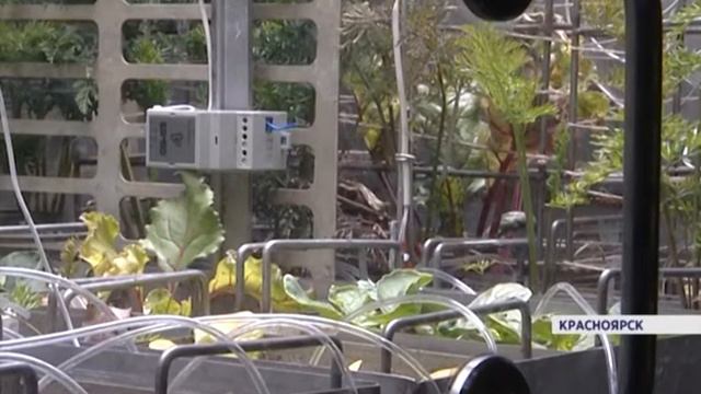 Красноярские ученые разрабатывают систему жизнеобеспечения космонавтов смотреть онлайн