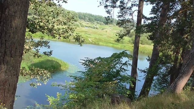 Река Десна. Город Жуковка, Брянская область. Август 2023 год смотреть онлайн