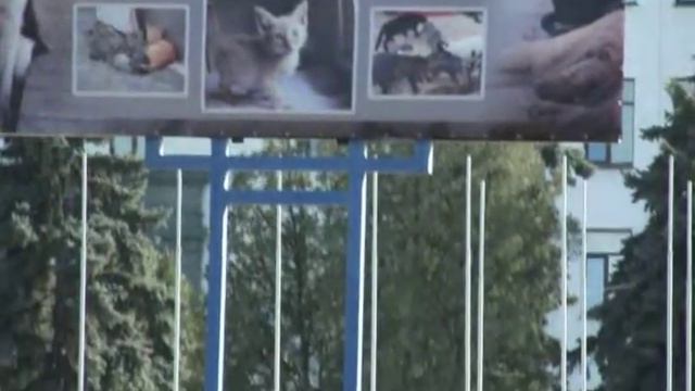 Изумруд, Луганск, ул. Титова 10,03,2011 смотреть онлайн