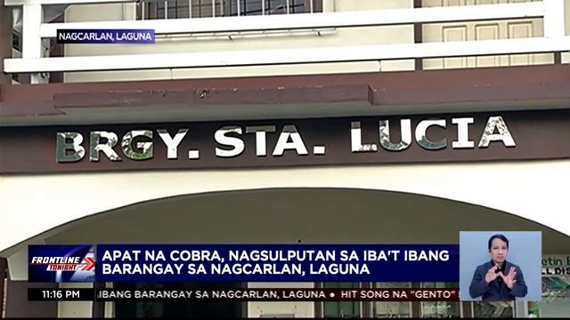 4 na cobra, nagsulputan sa magkakaibang barangay sa Nagcarlan, Laguna | Frontline Tonight смотреть онлайн