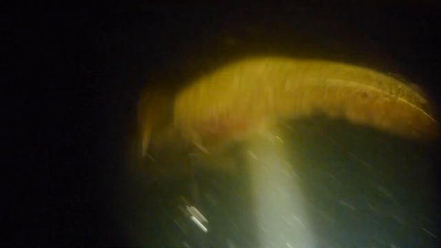 Подводная охота на трофейного налима. Карелия 2018. смотреть онлайн