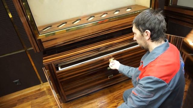 Элитная оружейная комната с отделкой эбеновым деревом для холодного оружия 