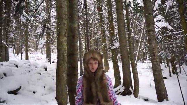 Н.А.Некрасов «Мужичок с ноготок» смотреть онлайн