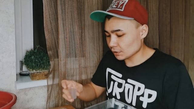 КАК ВЫРАЩИВАТЬ МИКРОЗЕЛЕНЬ ЛУКА КАРМЕН. БАЗИЛИК. РУККОЛА. РЕДИС. БИЗНЕС смотреть онлайн