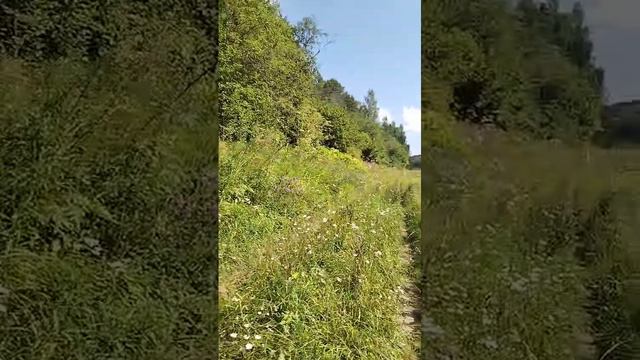 прогулка вдоль волги