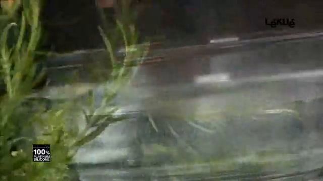 Мешочек для варки, бланширования - www.chistokot.ru смотреть онлайн