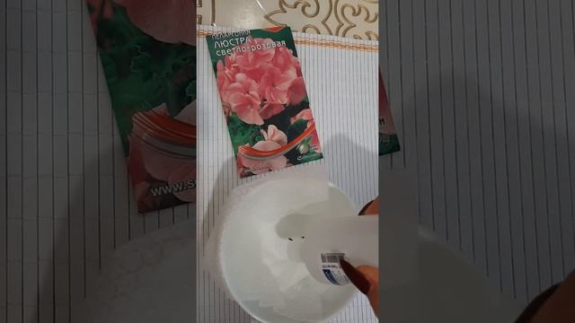 Посев семян пеларгонии. ? Замачивание семян в перекиси водорода! смотреть онлайн