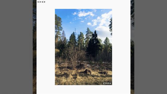 Дыхание лесов смотреть онлайн