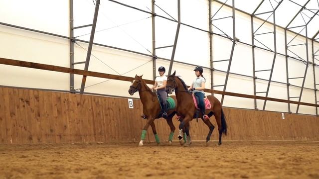 Езда парой. Конный спорт. Верховая езда смотреть онлайн