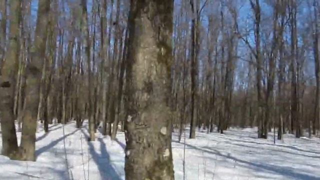 СК Мордовия - ТК Данко смотреть онлайн