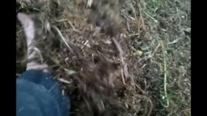 Измельчитель травы своими руками