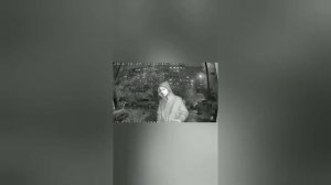 Ломают домофон (все выпуски!)