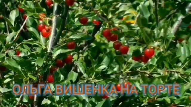 ЗАКРОЙ СВОЙ РОТ!У КОЛЮНИ РОДИЛАСЬ ВНУЧКА. ОЛЮНЯ И КОТЮНЯ.