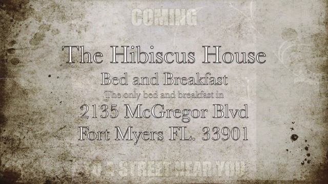 The Hibiscus House Bed and Breakfast Commerical 2/A winter trip смотреть онлайн