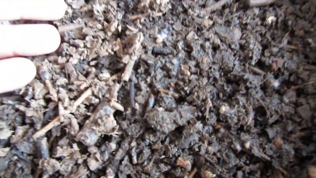 Землянка выживание! Харьков! шампиньоны грибы! мицелий! посадка мицелия! вырастить грибницу! смотреть онлайн