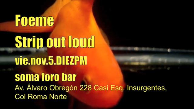 Foeme & Strip out loud @ Soma foro bar смотреть онлайн