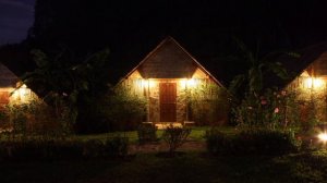 Звуки ночной природы, пение цикад для отдыха и сна, АСМР. Cicada singing for rest and sleep.