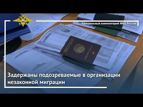 Ирина Волк: Сотрудники МВД России задержали подозреваемых в организации незаконной миграции смотреть онлайн