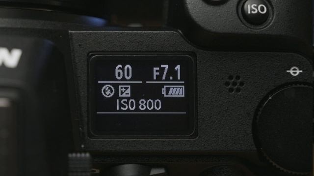 Nikon Z7 One-Year Honest Field Review // Wildlife Photography & Video смотреть онлайн