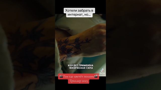 Там где цветёт полынь. Триллер 2023 смотреть онлайн