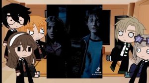 ✨{Реакция персонажей Гарри Поттера на тик ток(драрри)}✨