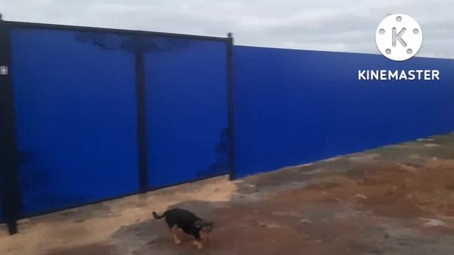 ЗАМУТИЛИ ШАШЛЫЧОК под ??? смотреть онлайн