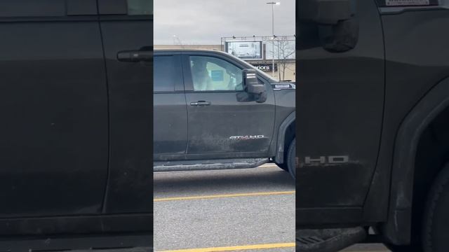 Собака друг человека! И водитель! Это #недело