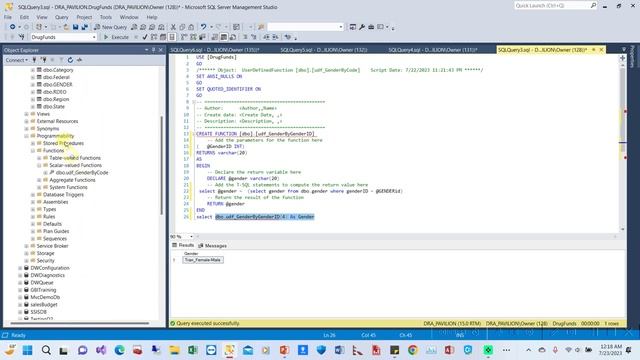 How to Use SQL Server Scalar Valued Functions смотреть онлайн
