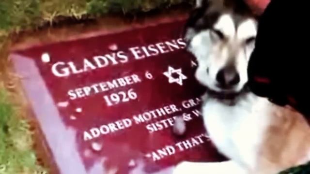 Волк зарыдал на могиле своей хозяйки смотреть онлайн