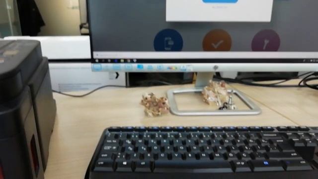 Canon Printer Bilgisayar Kurulumu Canon G3411