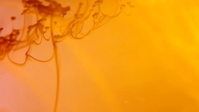 "Dollars for Thieves" Video Art Music Album - Erica Glyn / Laia Cabrera & Co смотреть онлайн