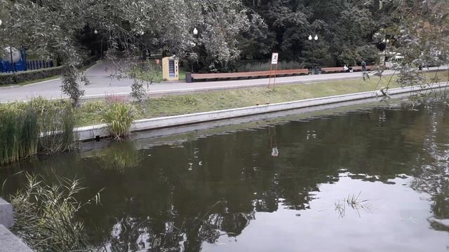 Парк Горьклгл, летний квест! смотреть онлайн