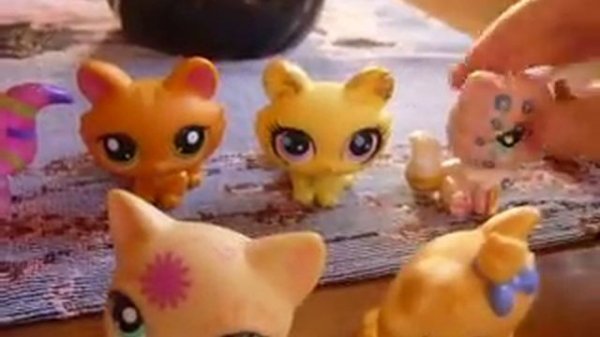 обзор кошек lps