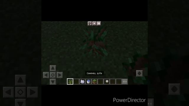 КАК ВЫРАСТИТЬ ЗОЛОТОЕ ДЕРЕВО КАК БУРАТИНО В МАЙНКРАФТ смотреть онлайн