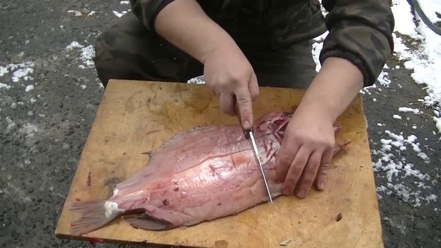 Засолка рыбы и икры в домашних условиях