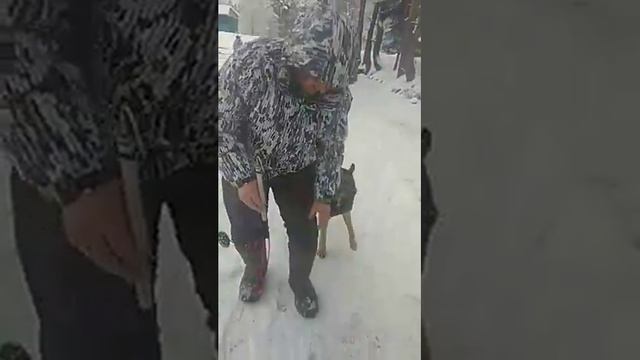 Платник в Минино смотреть онлайн