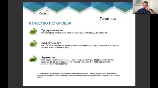 Промышленное производство кроликов смотреть онлайн