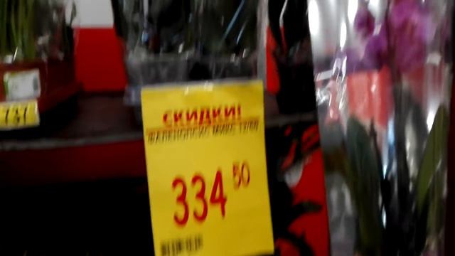 Ашан, скидка на Фаленопсис😃 26.07.2016😍 смотреть онлайн