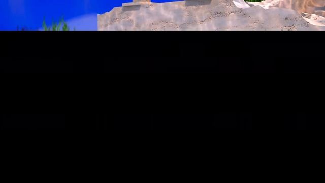 Render.ru работы учеников