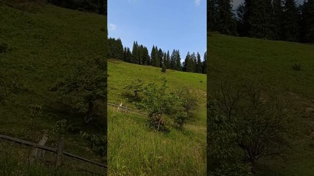 Медитация. Место силы. смотреть онлайн