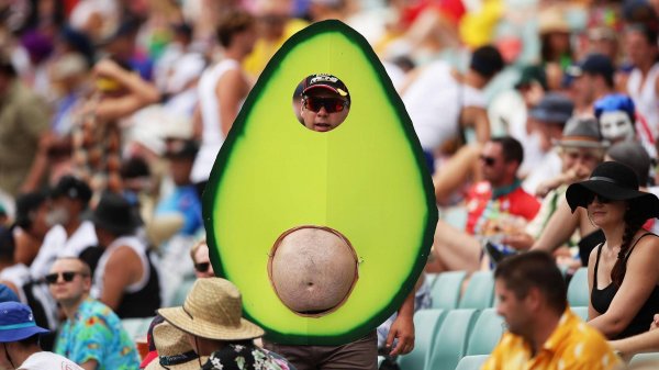 СБОРКА ПРИКОЛОВ 🔞