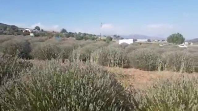 Недвижимость в Турции: Город Ыспарта - Столица роза смотреть онлайн