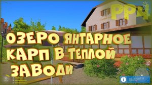 Озеро Янтарное. Карп в теплой заводи. Маркерное удилище • Русская рыбапка 4 • Донная оснастка