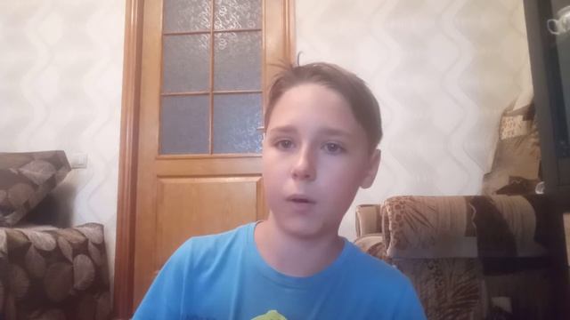 Плюсы и минусы цвергшнауцера.