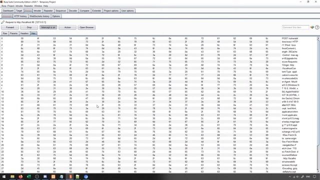 Web Application Hacking with Burp Suite - The Proxy and Repeater Module смотреть онлайн