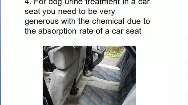 How to neutralize dog urine смотреть онлайн
