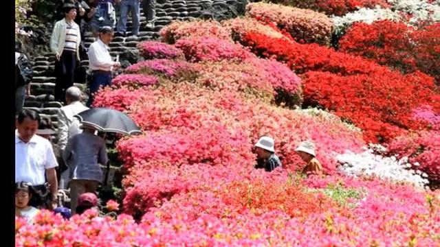 K O M U R O Y A M A - P A R K - J A P A N - ! смотреть онлайн